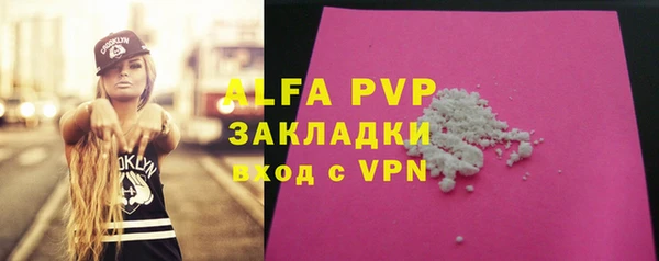стафф Алзамай