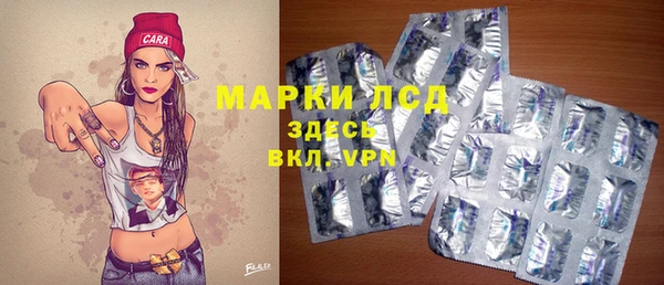 стафф Алзамай
