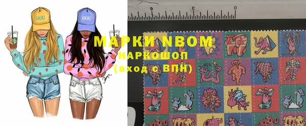 стафф Алзамай