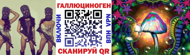 закладка Николаевск Галлюциногенные грибы MAGIC MUSHROOMS